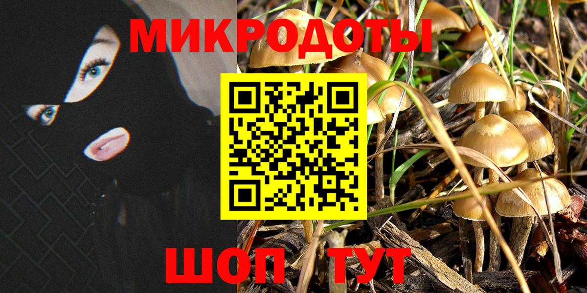 Ленинск-Кузнецкий  МАРИХУАНА  Вход с VPN  MDMA  COCAIN  Меф МЯУ МЯУ   Гашиш  Магазин наркотиков  Амфетамин кристаллы 