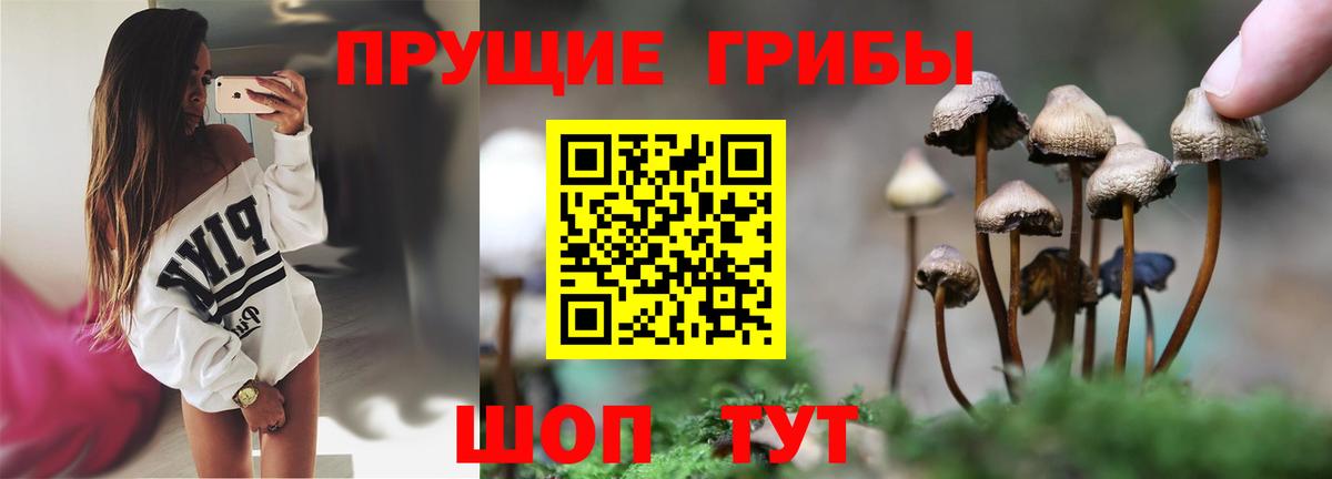 Галлюциногенные грибы Psilocybe  Вход с VPN  Ленинск-Кузнецкий  Галлюциногенные грибы мухоморы 